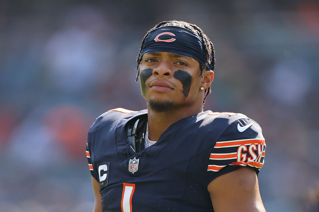 CHICAGO, IL - DECEMBER 24: A Chicago Bears fans looks on in action during a  game between